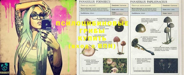 jwh Белоозёрский